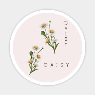 Daisy Magnet